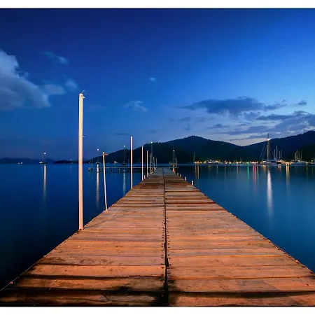 Only Blue Rhapsody 2